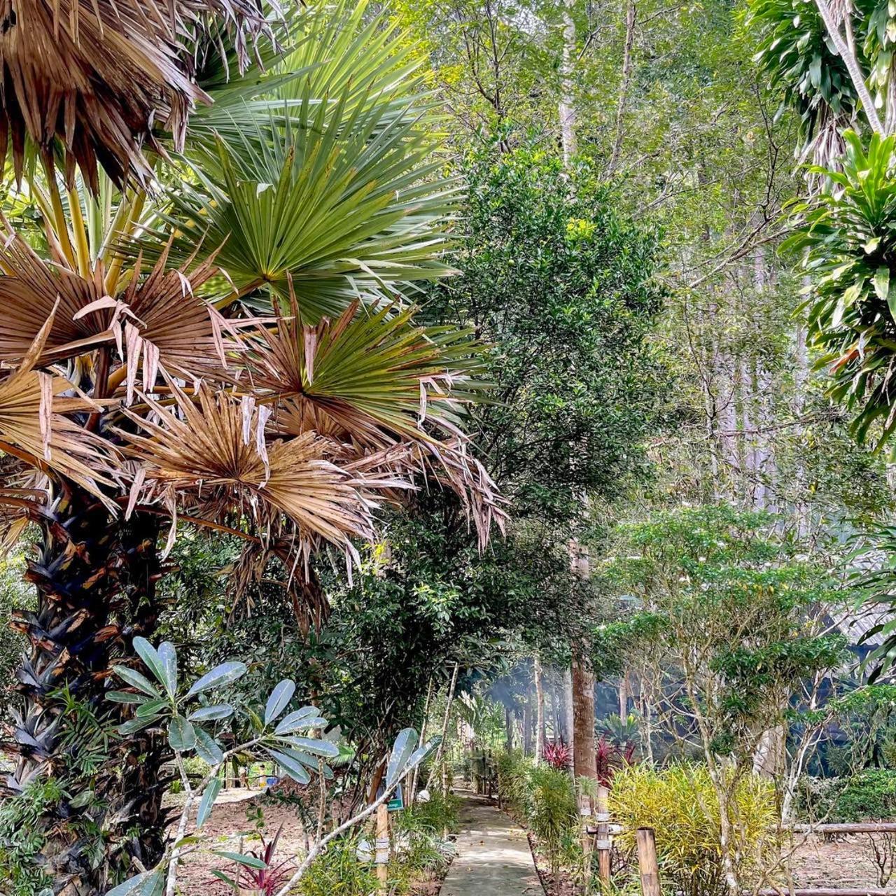 Khao Sok Green Mountain View Khao Sok National Park Kültér fotó