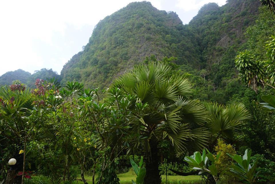 Khao Sok Green Mountain View Khao Sok National Park Kültér fotó